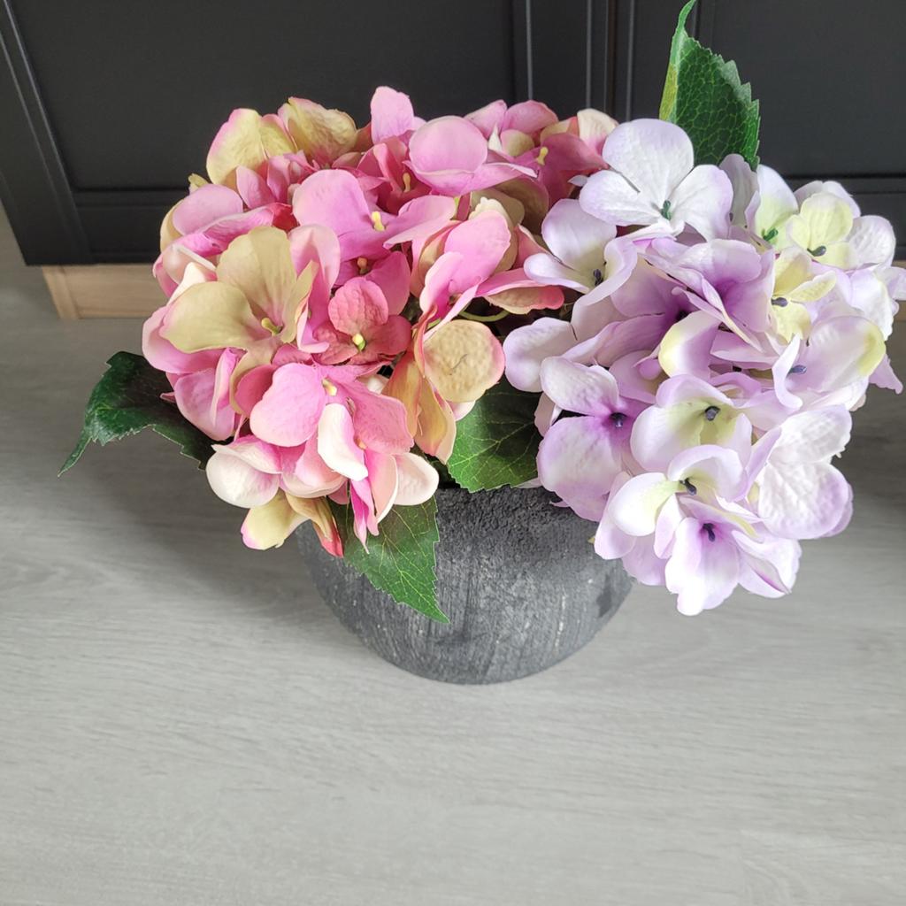3x Nep Hortensia in pot, bieden, Ophalen