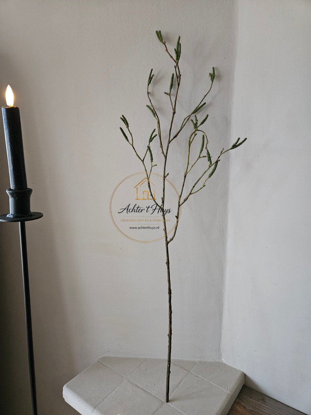 Kunst Berkentak  - takken 78 cm lang, Groen, Nieuw, Ophalen of Verzenden, Onderhoudsvrij