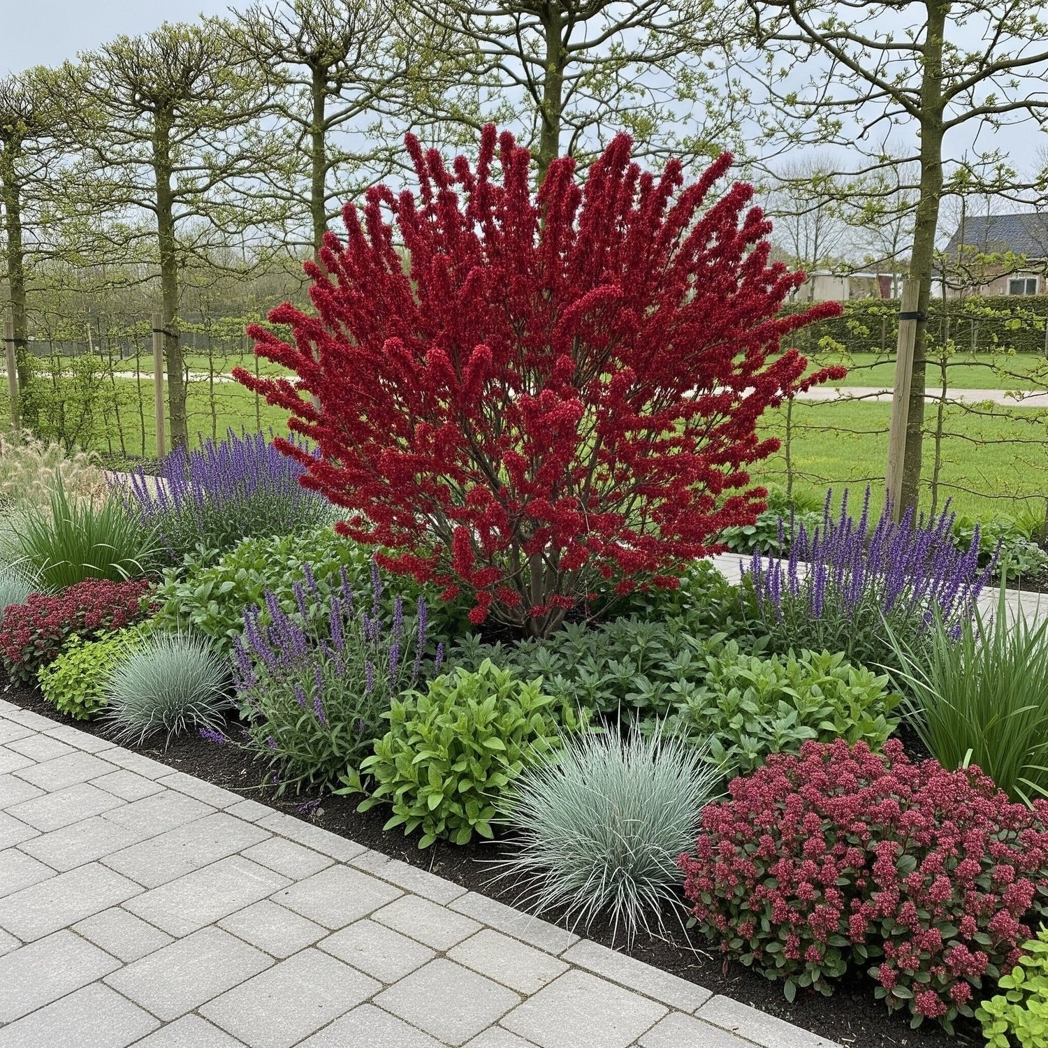 Gratis struiken/tuinplanten gezocht in Dordrecht, Vaste plant, Halfschaduw, Lente, Ophalen