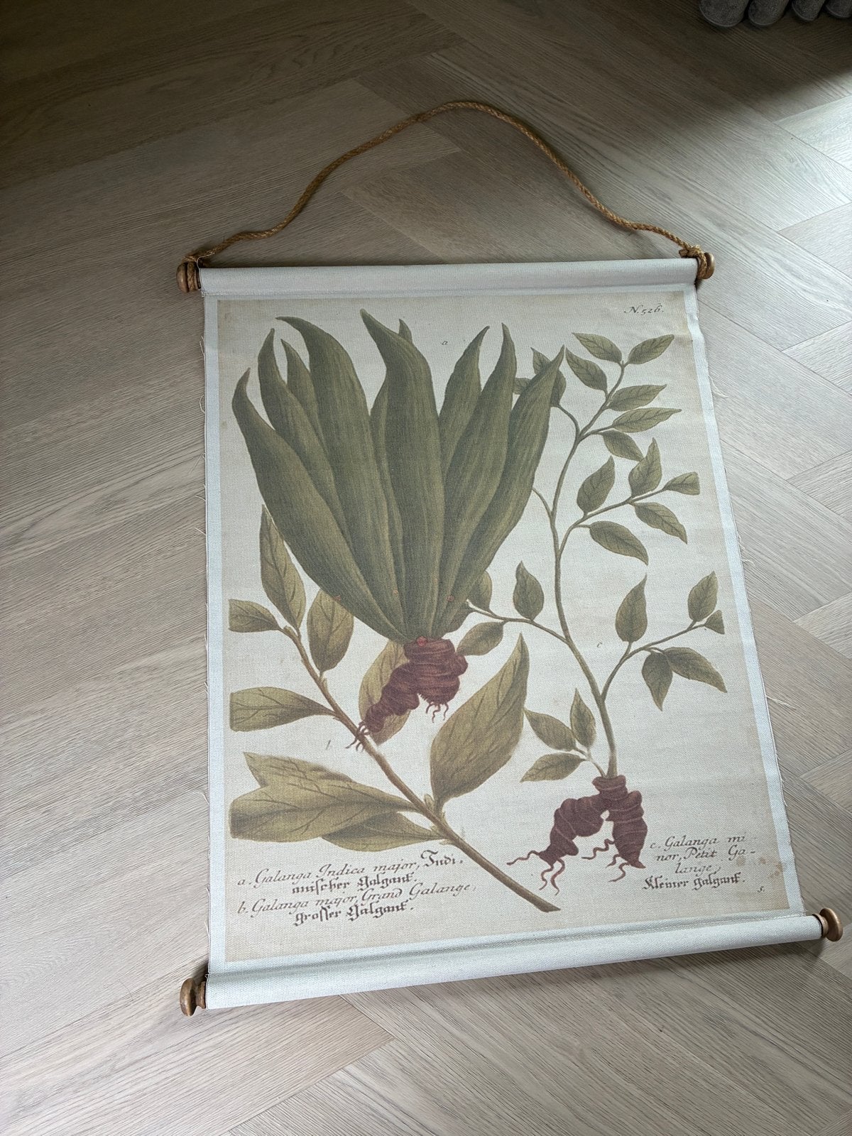 Textielplaat wanddecoratie botanische print 60x80 cm, Wandhanger, 80 cm, Meerkleurig, Textiel