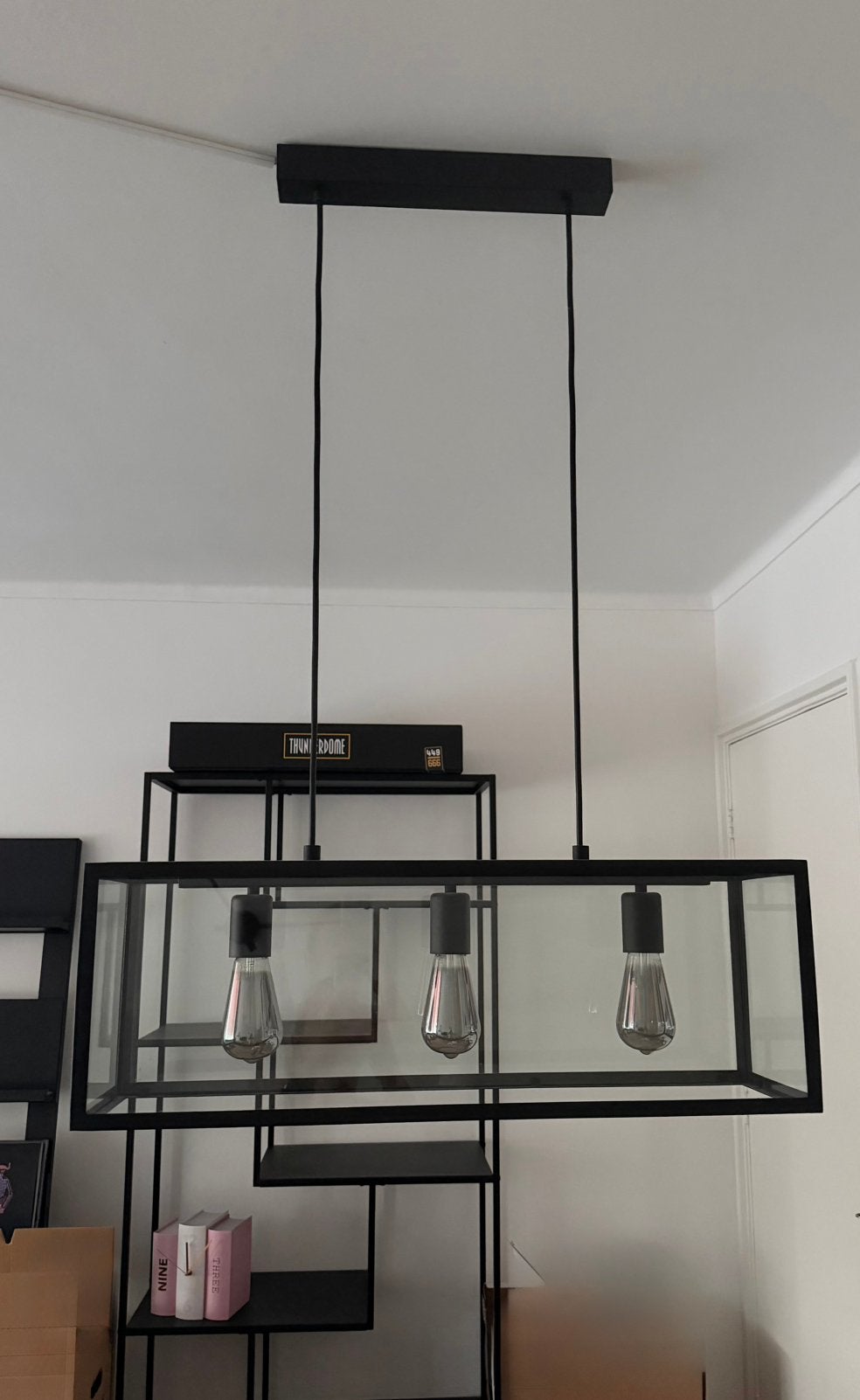 Industriële hanglamp, Ophalen, Zo goed als nieuw