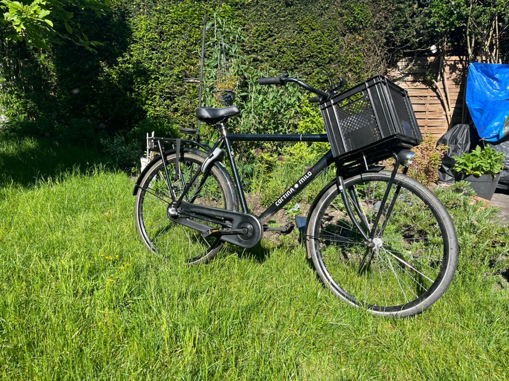 Cortina Milo cargo fiets / transportfiets- achterrem defect, Gebruikt, Versnellingen, 53 tot 57 cm, Ophalen