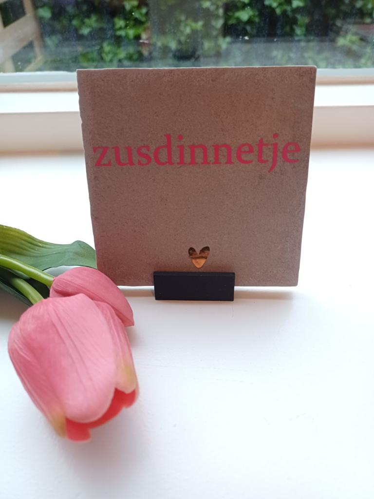 Grijze tegel met tegelhoudertje - 'zusdinnetje', Ophalen of Verzenden