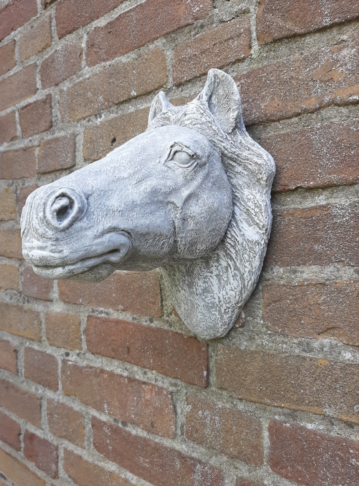Pony paard wanddecoratie betonnen beeld, Ophalen of Verzenden