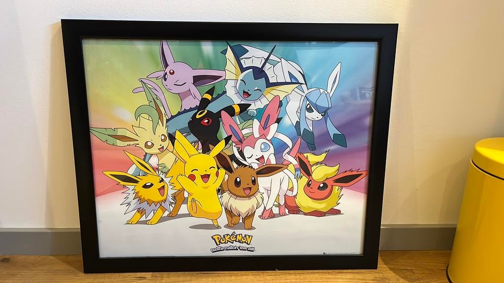 Pokemon poster in lijst, Ophalen, A1 t/m A3, Film en Tv