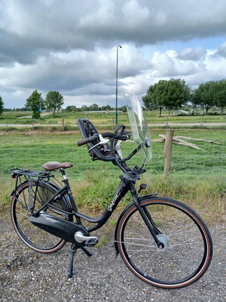 GAZELLE BLOOM C7 - ZGAN + GARANTIE  - D 49 / 7 N, Fietsen en Brommers, Fietsen | Dames | Moederfietsen, Ophalen, 2 zitjes, 47 tot 50 cm