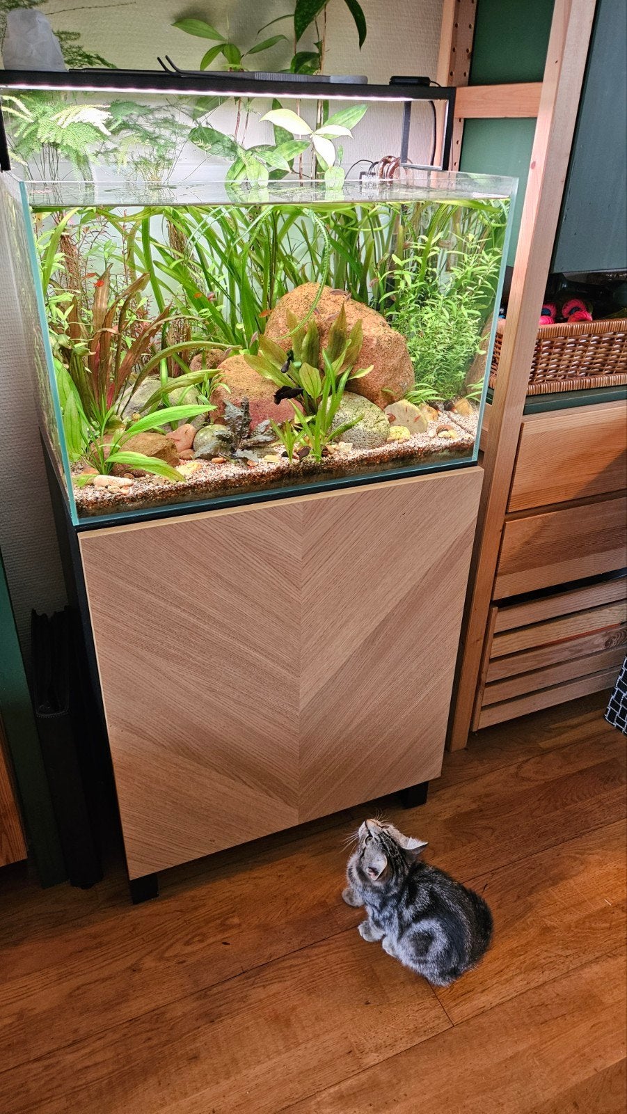 Superfish scaper 90, Ophalen, Zo goed als nieuw, Leeg aquarium