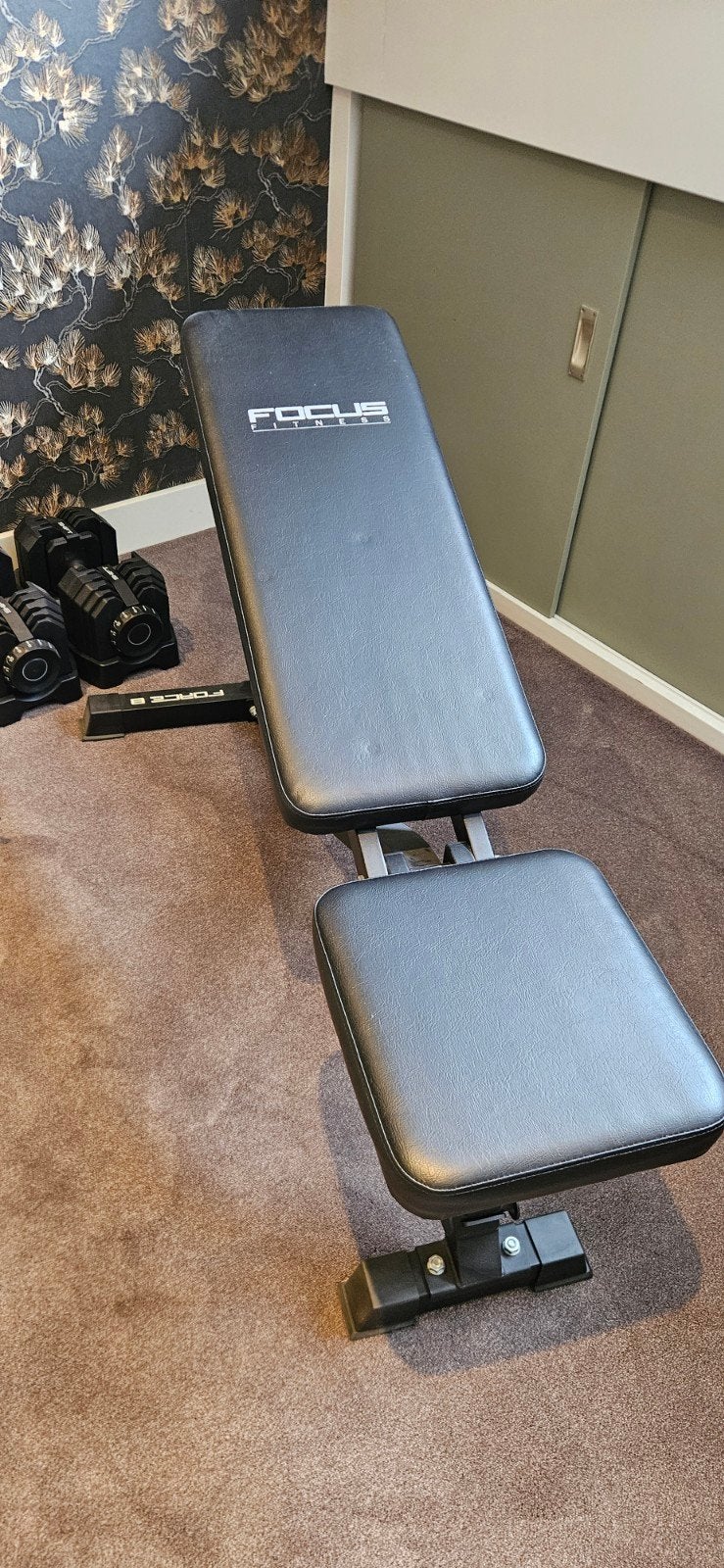 verstelbare dumbells en fitness bank, Ophalen, Nieuw, Benen, Dumbbell