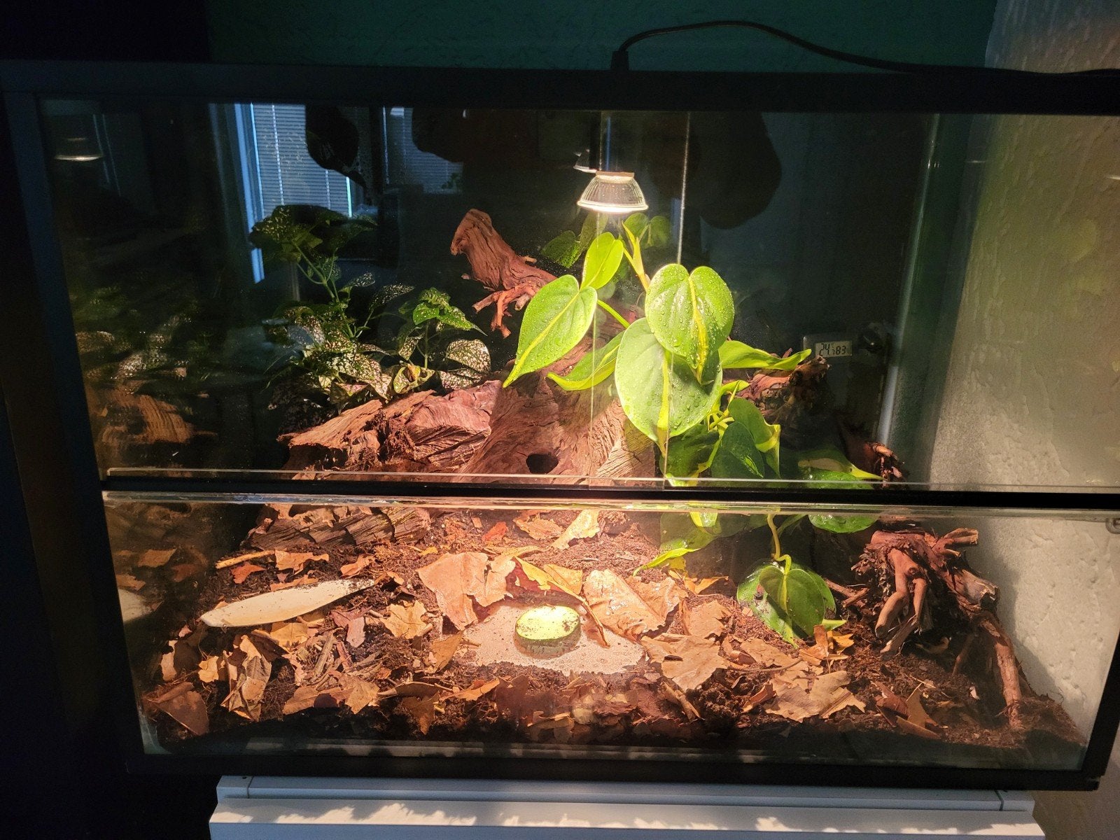 Terrarium doe een leuk bod, Ophalen, Zo goed als nieuw, Terrarium of Paludarium