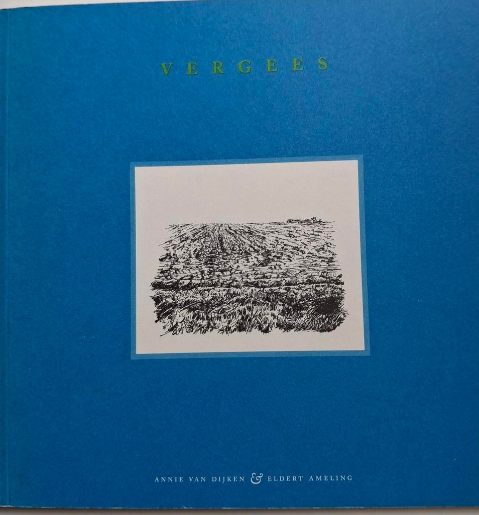Annie van Dijken - Vergees, Boeken, Geschiedenis | Stad en Regio, 20e eeuw of later, Annie van Dijken, Ophalen of Verzenden, Zo goed als nieuw