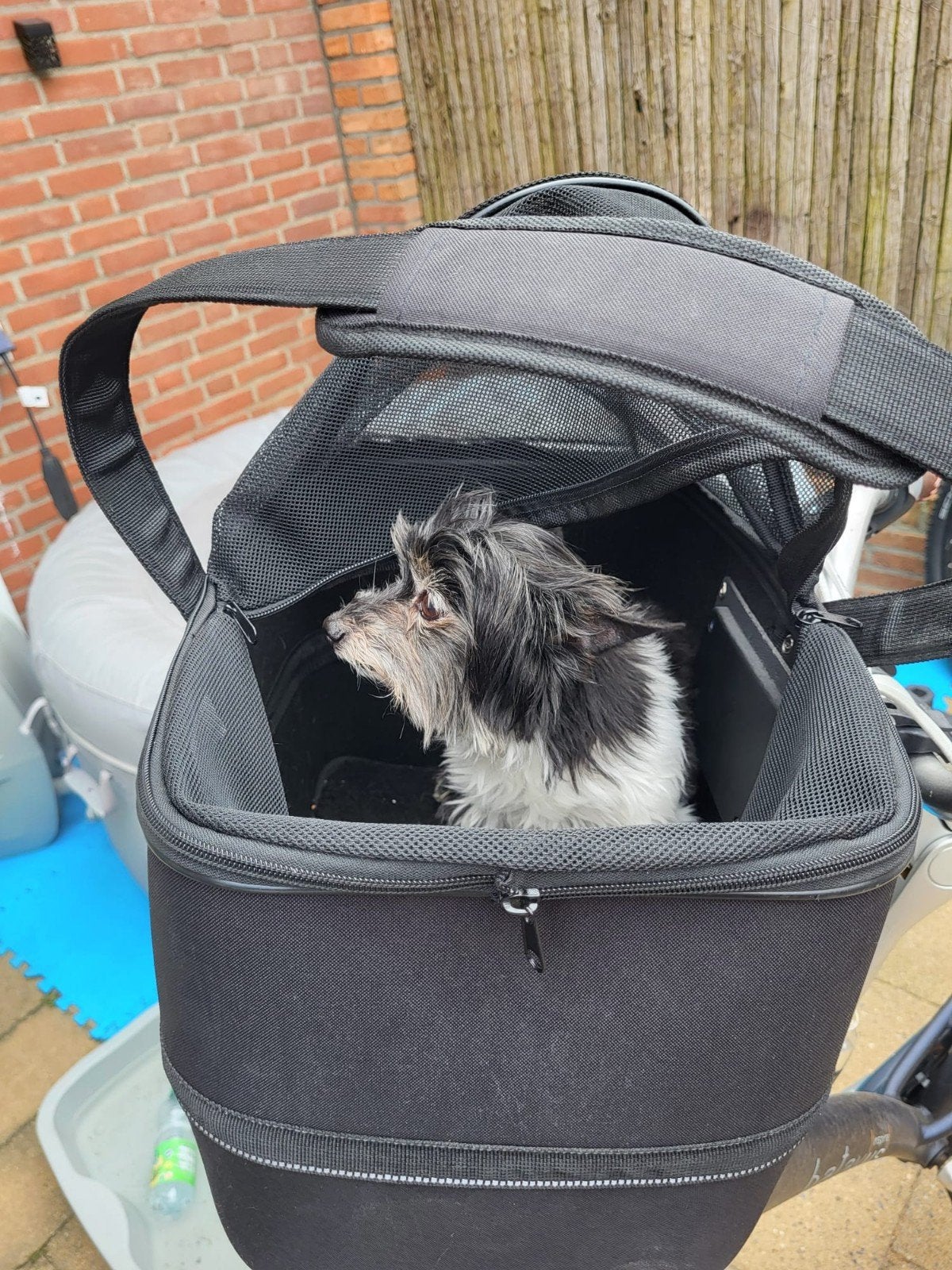 Fietsmand voor kleine hond - Veilig en comfortabel, Ophalen of Verzenden