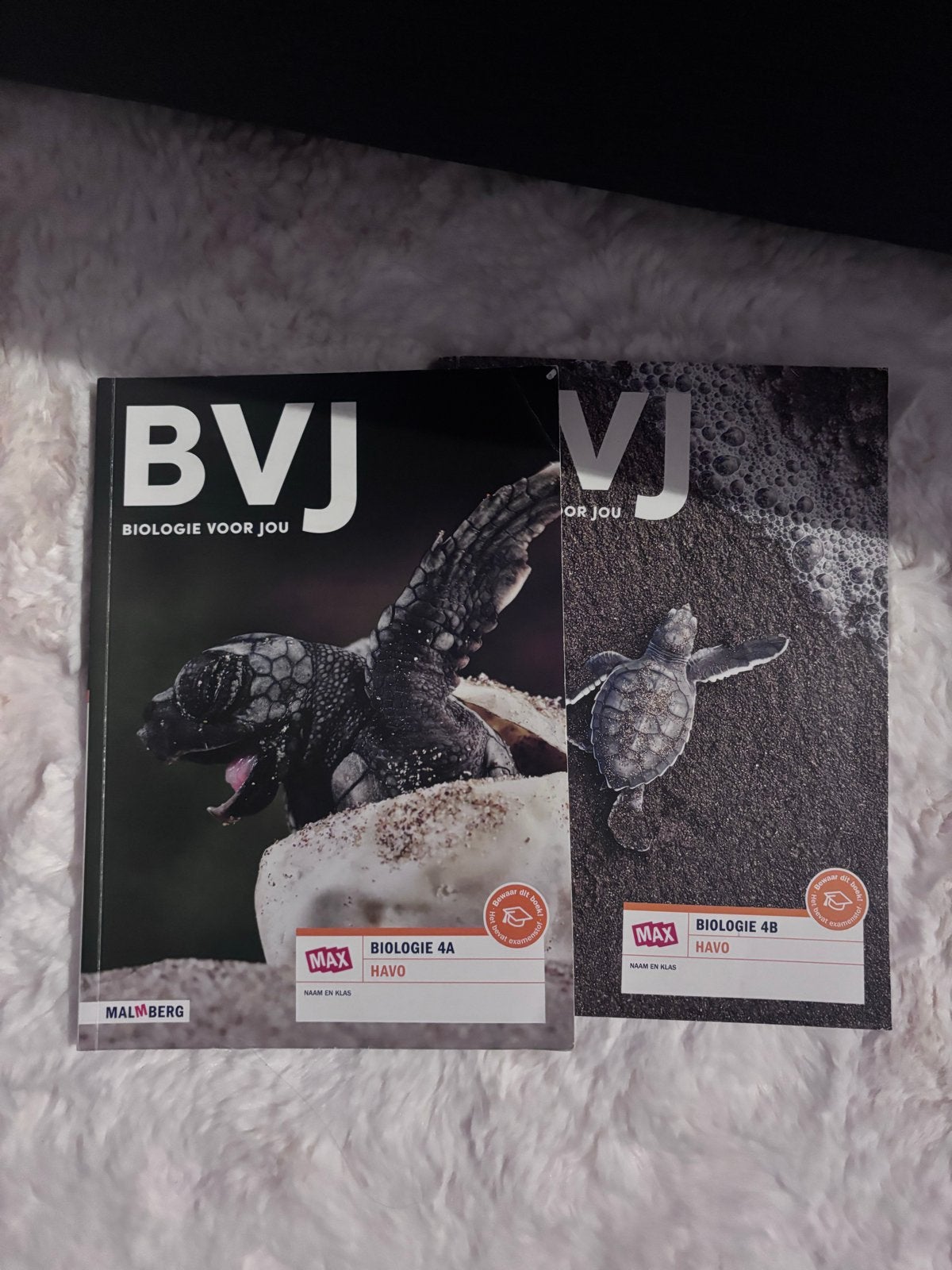 BVJ Biologie voor jou HAVO boeken (4A, 4B, 5A, 5B), Ophalen of Verzenden, Beta, Gelezen, Overige niveaus
