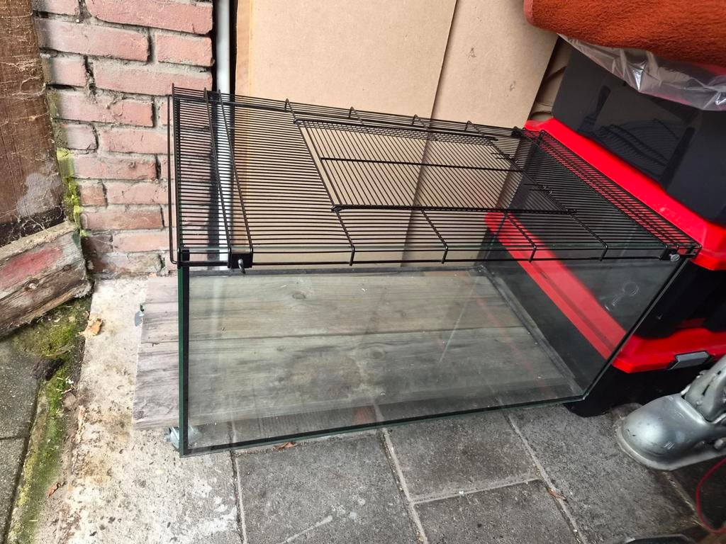 Ferplast jerry, mooie grote glazen knaagdierenkooi, Dieren en Toebehoren, Knaagdieren en Konijnen | Hokken en Kooien, Kooi, Nieuw