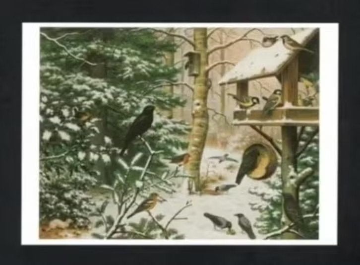 Ansichtkaart Schoolplaat Bosvogels Merel Specht Mees., Verzamelen, Ophalen of Verzenden, 1980 tot heden, Ongelopen, Vogel