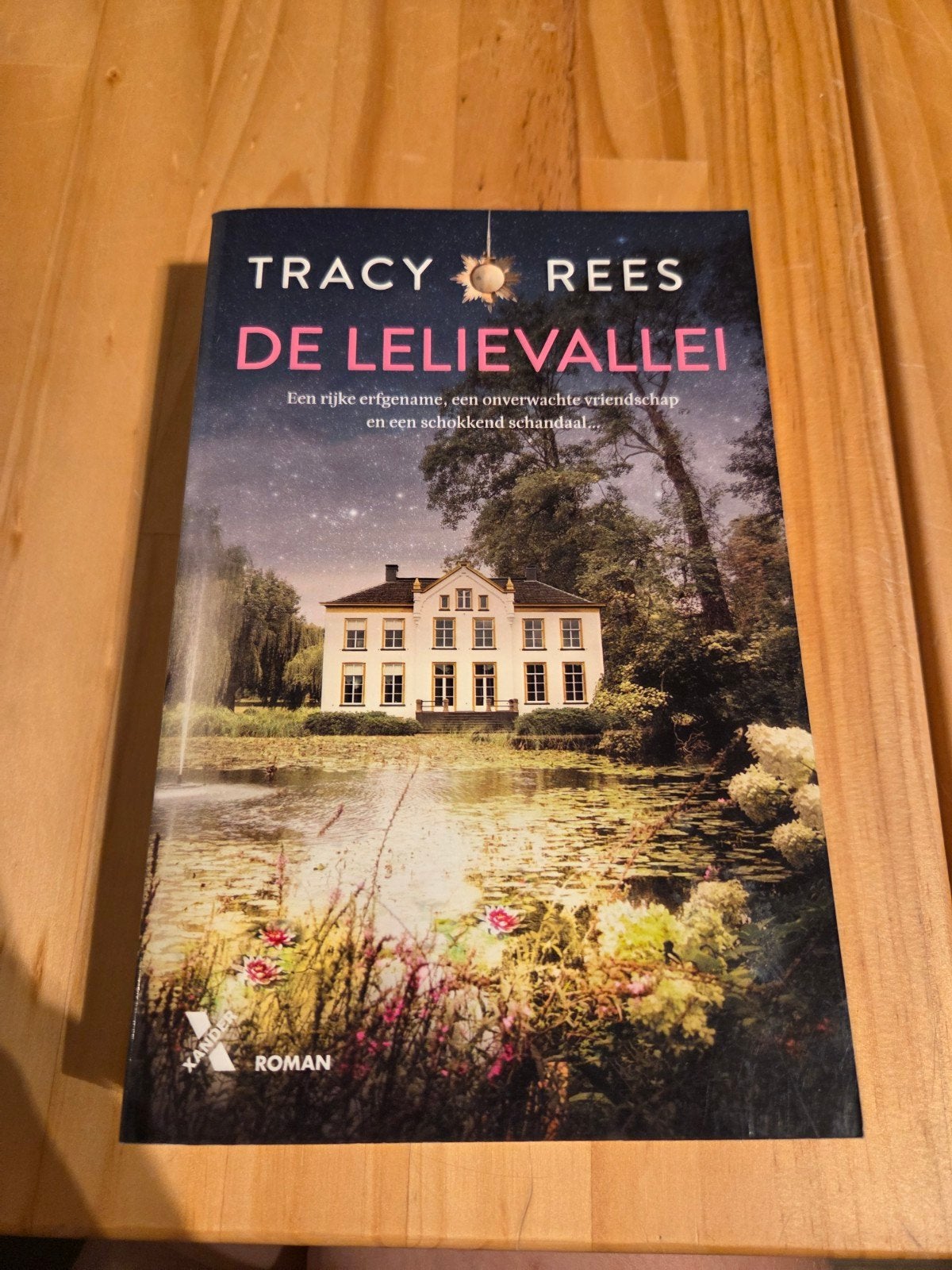De Lelievallei - Tracy Rees (Roman), Ophalen of Verzenden, Zo goed als nieuw, Tracy Rees, Europa overig
