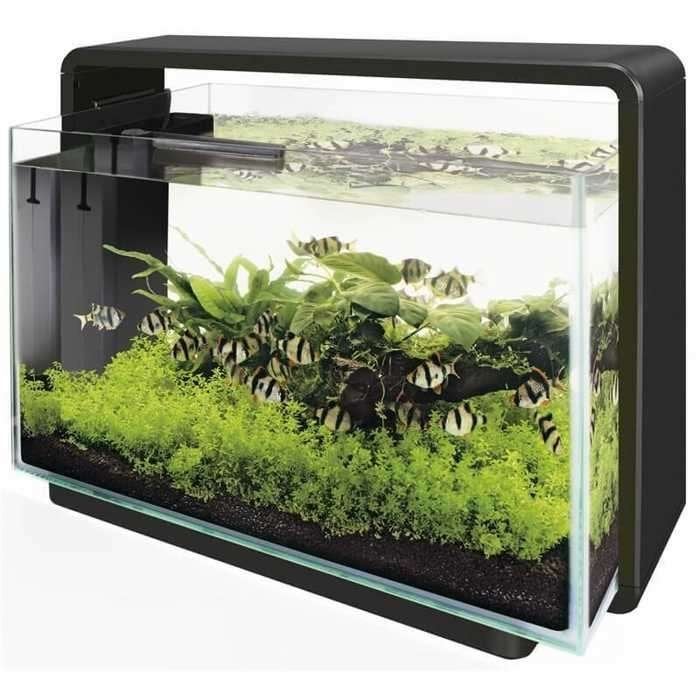 AQUARIUM SUPERFISH HOME 60 COMPLEET, Ophalen, Verwarming, Zo goed als nieuw, Leeg aquarium