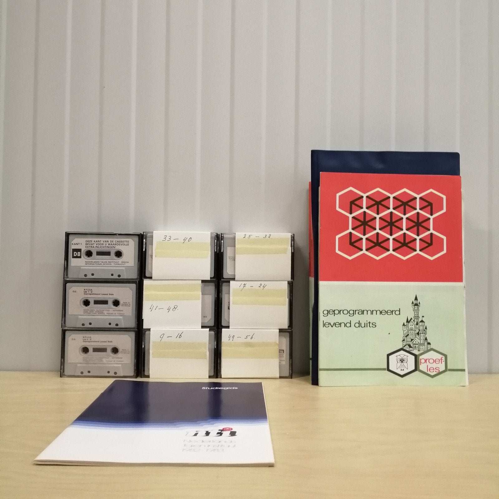 Geprogrammeerd Levend Duits + Cassettes & Koffer, Ophalen of Verzenden, Beta, Zo goed als nieuw