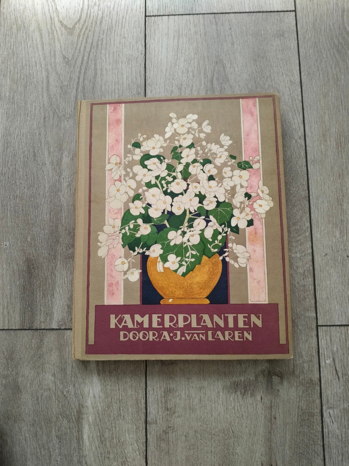 Verkade Album Kamerplanten - Jac.P.Thijsse 1929, Boeken, Verzenden, Gelezen, Jac. P. Thijsse, Plaatjesalbum