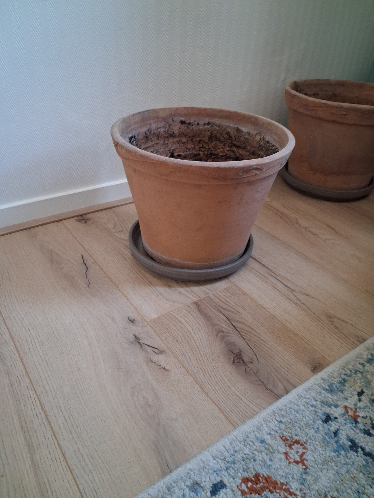 2x Terracotta bloempotten met schotel. €20.00 per stuk, Gebruikt, Rond, Minder dan 40 cm, Balkon