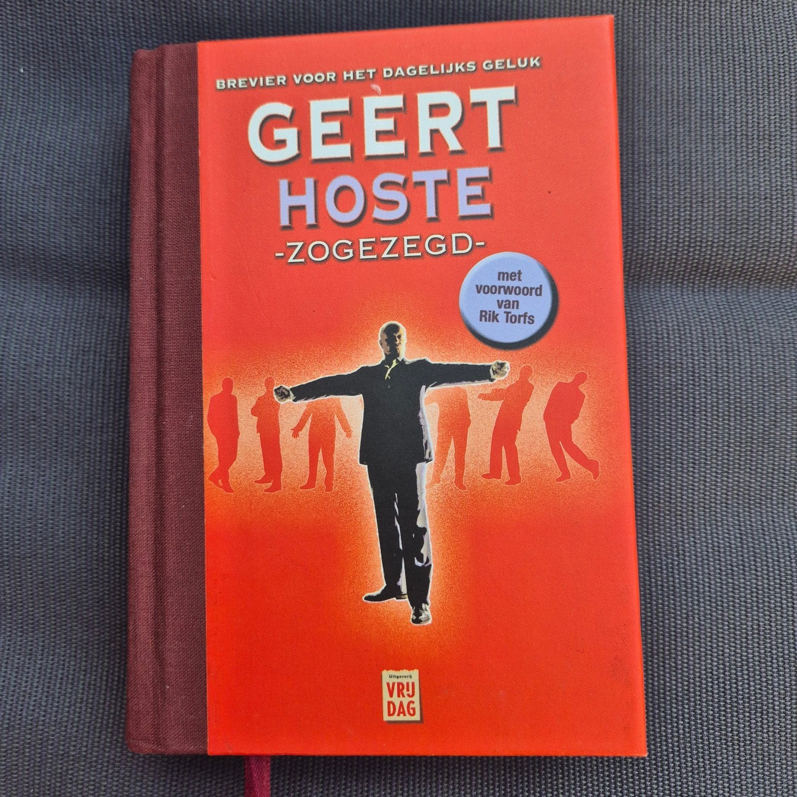 Geert Hoste - Zogezegd - Brevier voor het dagelijks geluk, Boeken, Ophalen of Verzenden, Zo goed als nieuw, Geert Hoste, België