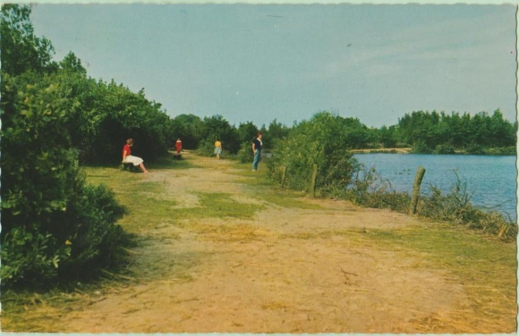 Tenella plas tussen Oostvoorne en Rockanje 1963 (ZH), Verzenden, 1960 tot 1980, Gelopen, Zuid-Holland