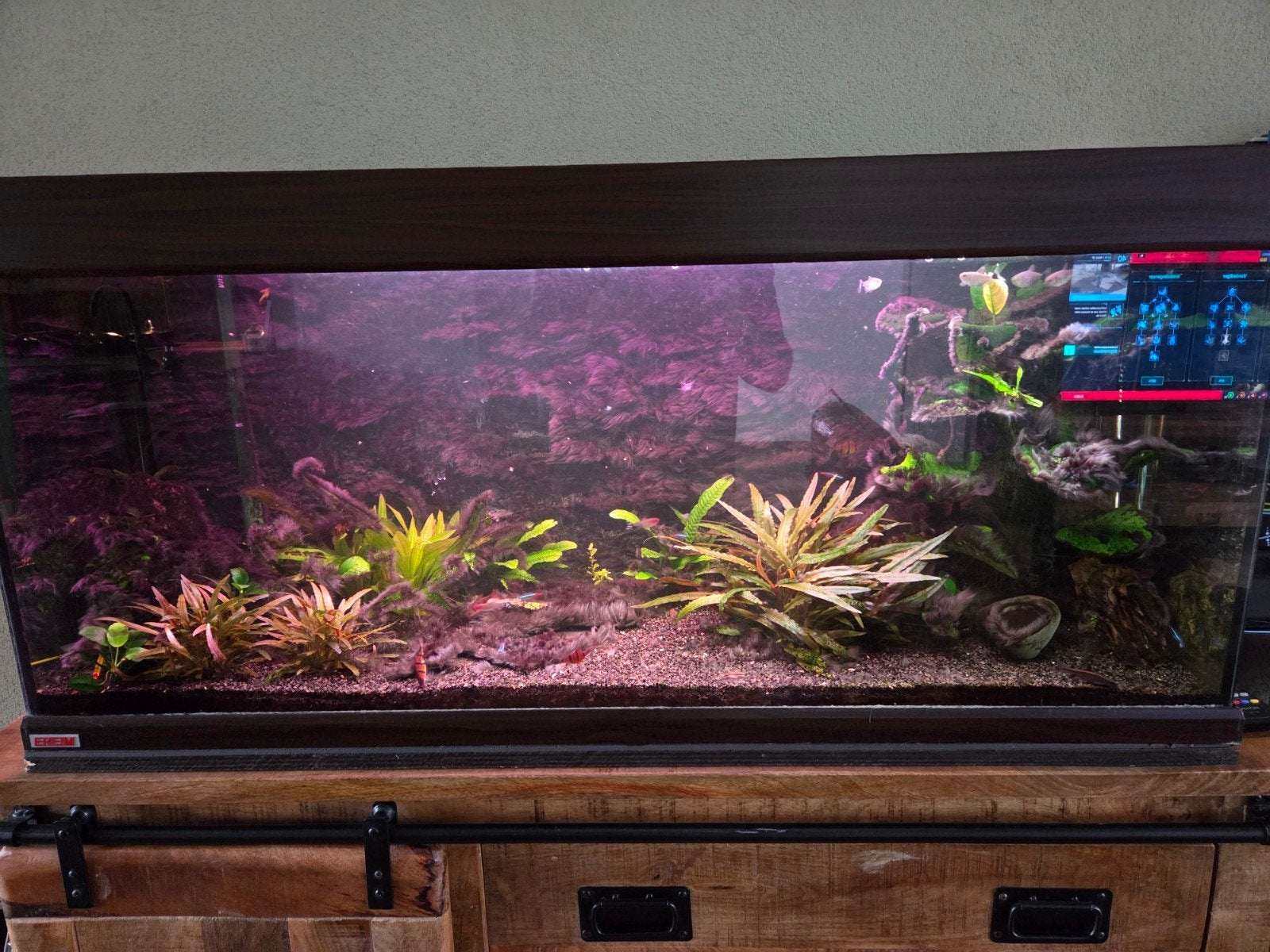 aquarium 120 cm lang, Ophalen, Gebruikt