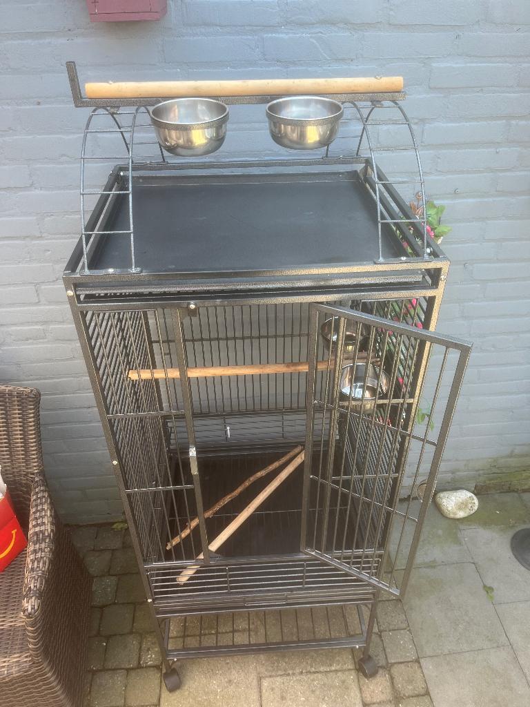 Vogelkooi, Dieren en Toebehoren, Mannelijk