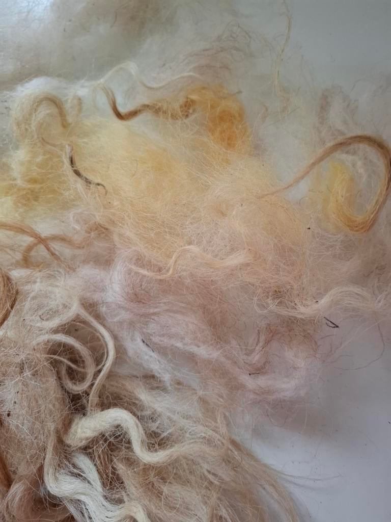 Racka wol gewassen, Hobby en Vrije tijd, Ophalen of Verzenden, Nieuw, Spinwol