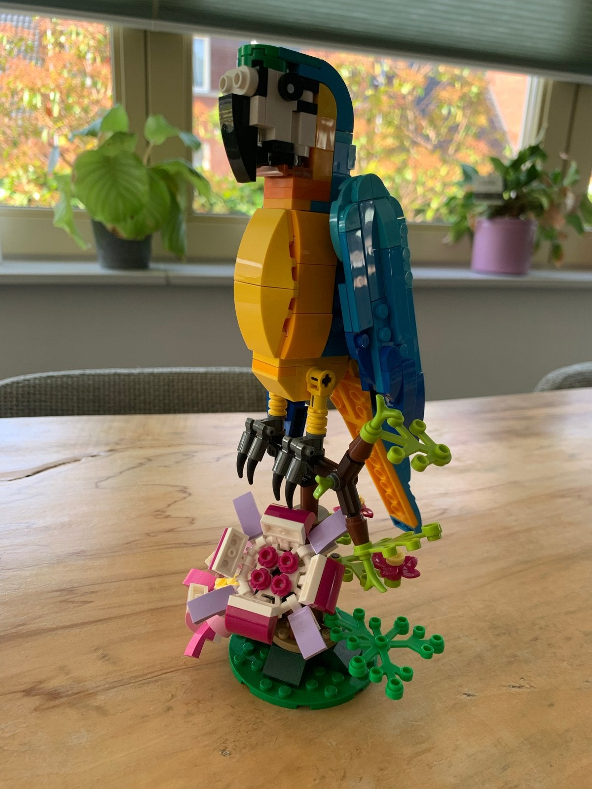 Lego Creator 31136 Exotische Papegaai, Lego, Ophalen of Verzenden, Zo goed als nieuw, Compleet
