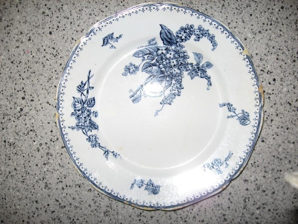 Bord meibloem van regout. Met gebruikschade. Bekijk ook mijn, Ophalen of Verzenden, Gebruikt, Porselein, Bord of Schaal