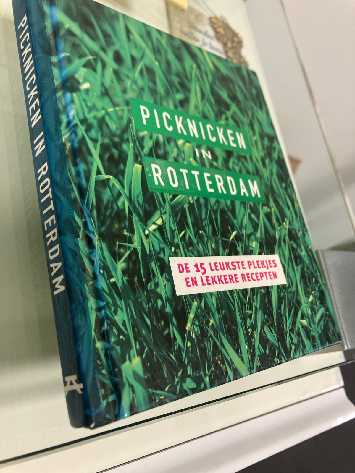 Picknicken in Rotterdam: 15 leuke plekken en recepten, Ophalen of Verzenden, Zo goed als nieuw, Nederland en België, Overige typen