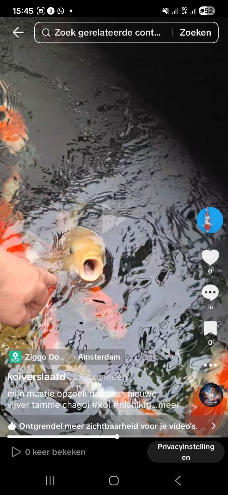 koi  hele leuke, maar ook hele tamme ginrin chagoi tammaker, Karper of Koi
