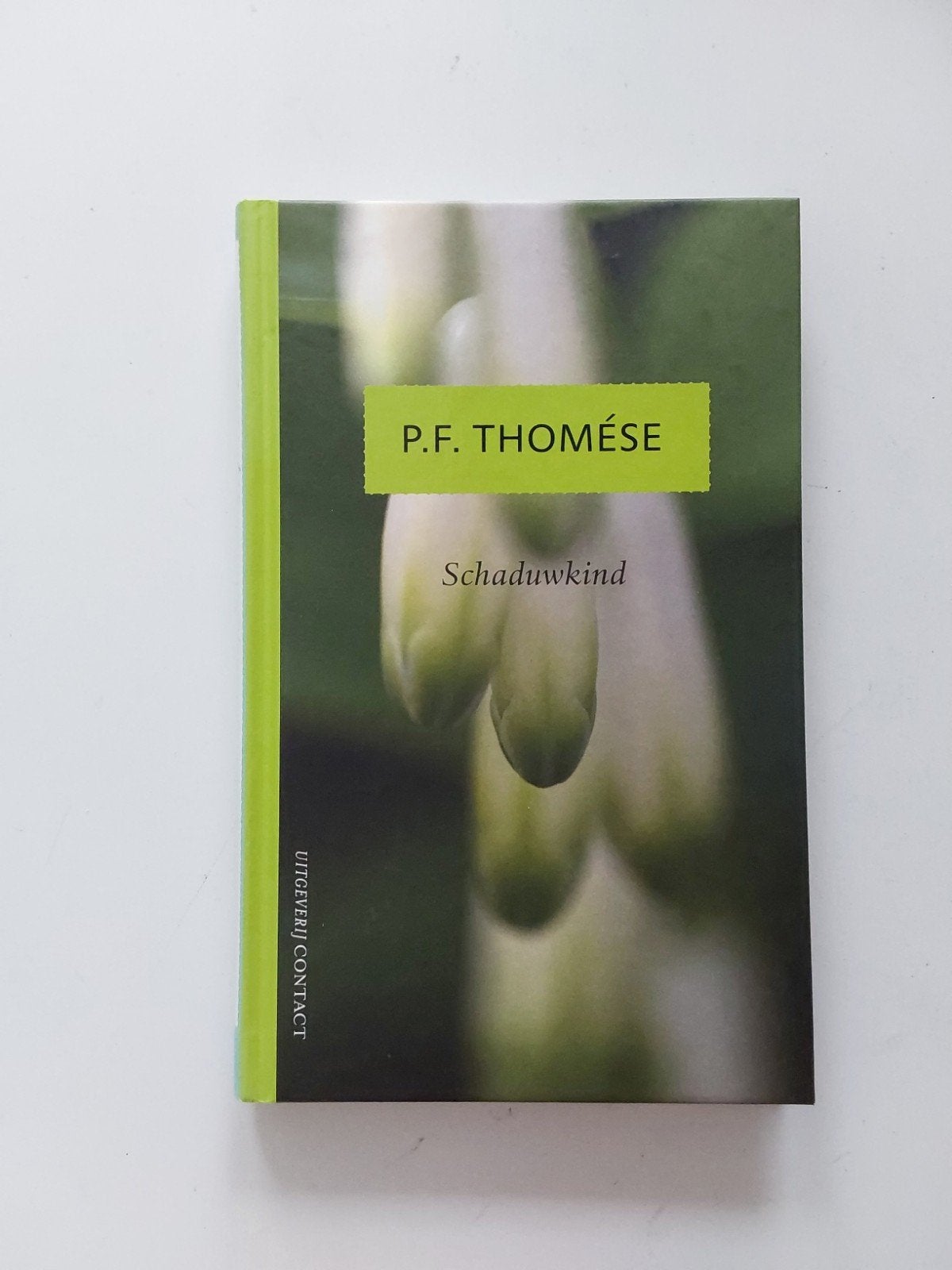 P.F. Thomése : Schaduwkind, Boeken, Ophalen of Verzenden, Zo goed als nieuw, Nederland, P.F. Thomése