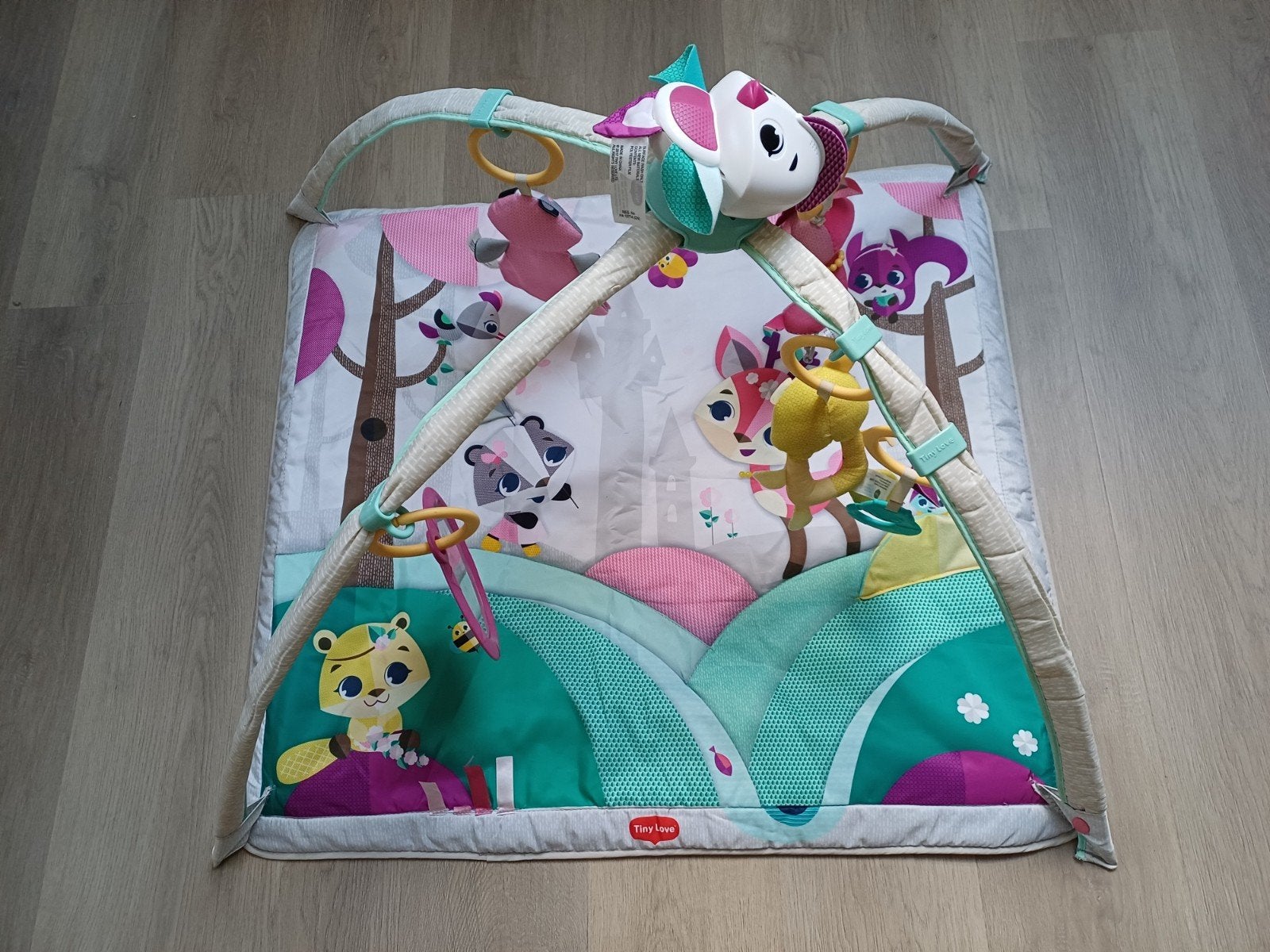 Babygym speelkleed Tiny Love Princess Tales, Ophalen of Verzenden, Gebruikt
