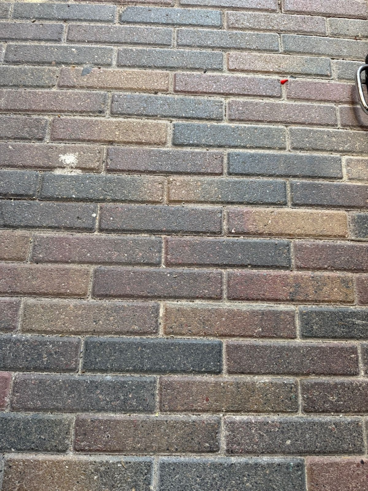 14m2 waaltjes. 20x5cm. Bont. Gratis !!!, Doe-het-zelf en Verbouw, Metselstenen, Ophalen of Verzenden, Gebruikt, Bakstenen