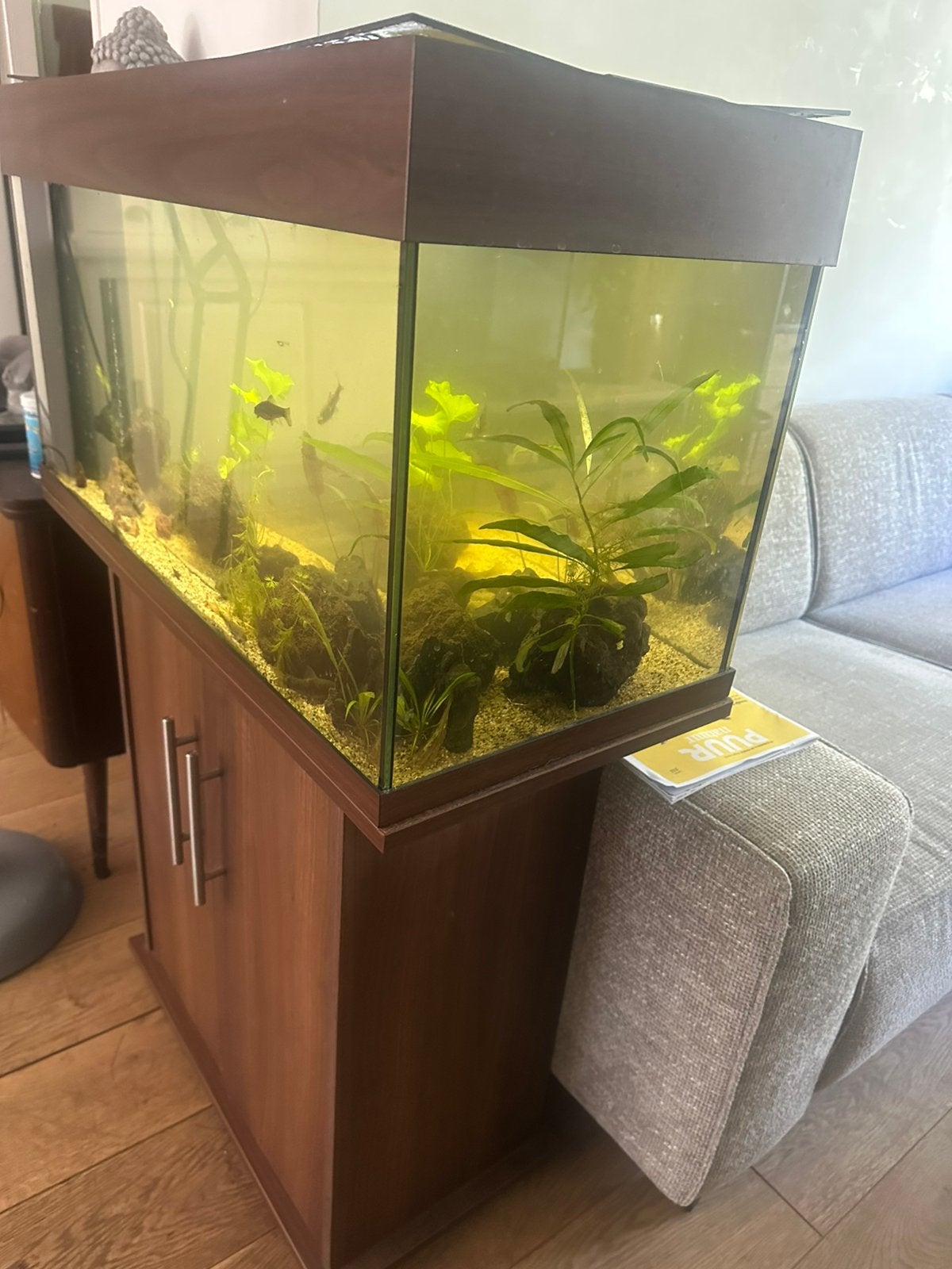 Aquarium 80 cm juwel, Ophalen of Verzenden, Zo goed als nieuw, Leeg aquarium