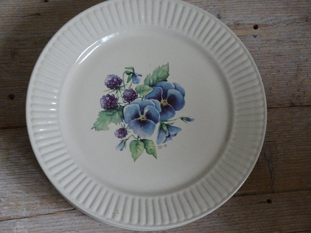 Servies, Jet (by Ter Steege), BRAMEN EN VIOOLTJES, z.g.a.n., Overige typen, Ophalen of Verzenden, Zo goed als nieuw, Overige stijlen