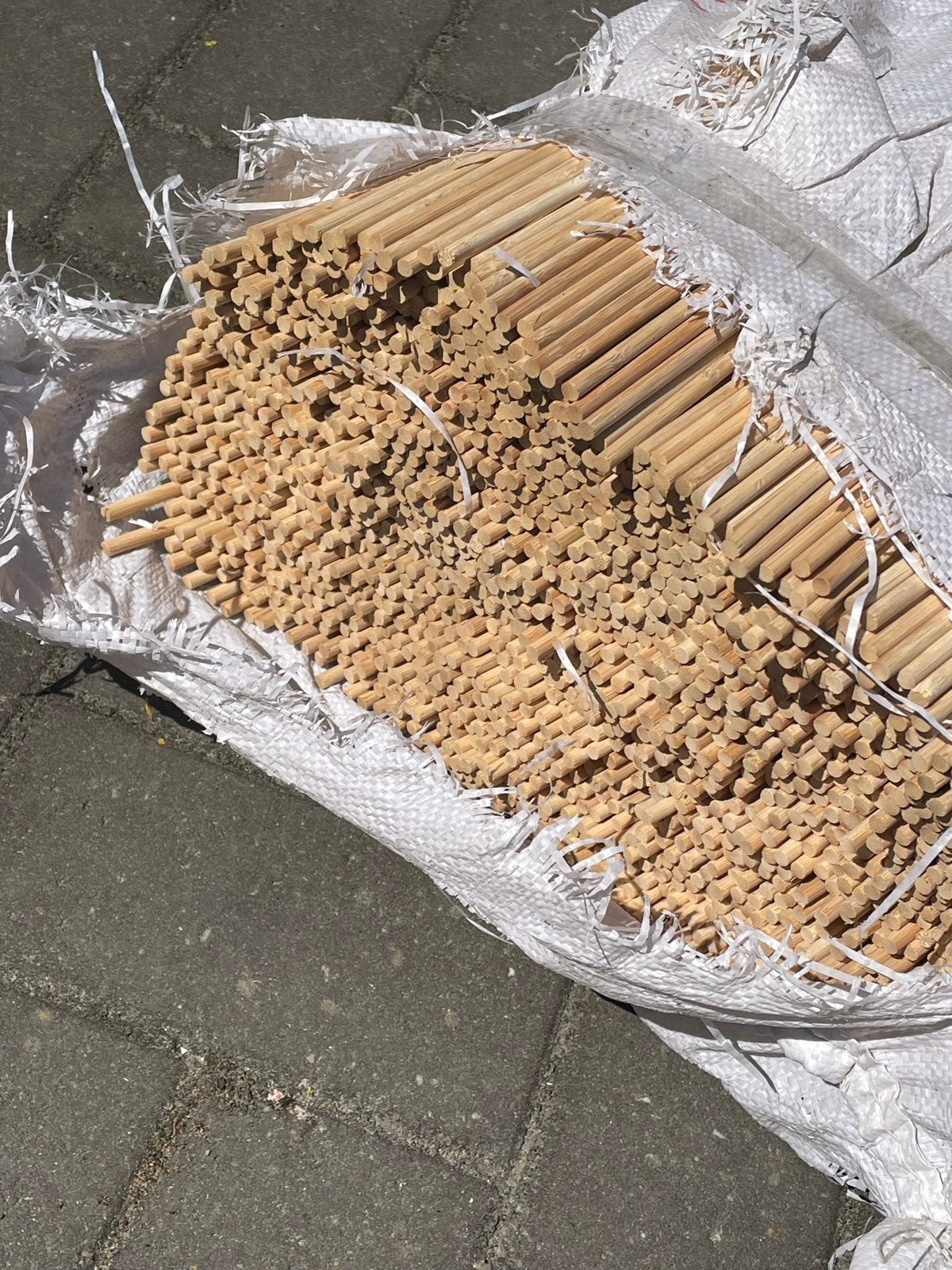 Plantenstokken voor ondersteuning van uw planten, Ophalen of Verzenden, Overige soorten