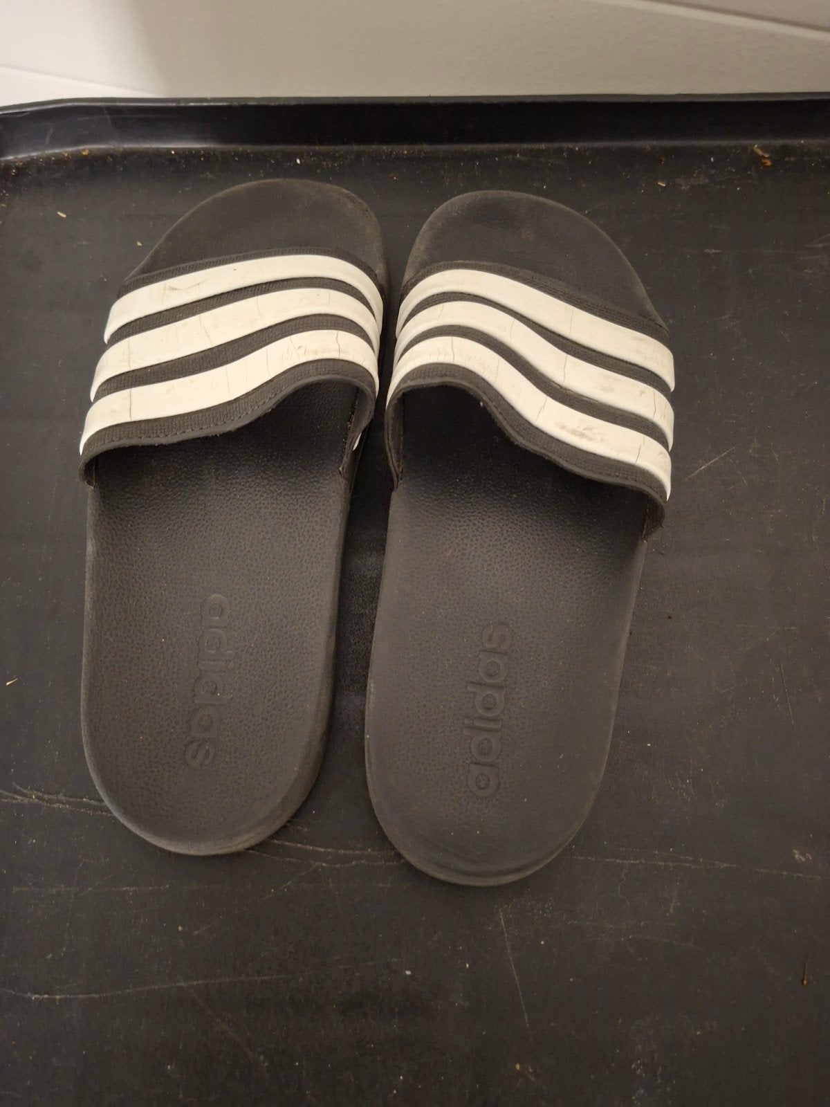 Adidas slippers maat 38, Slippers, Adidas, Zwart, Ophalen of Verzenden