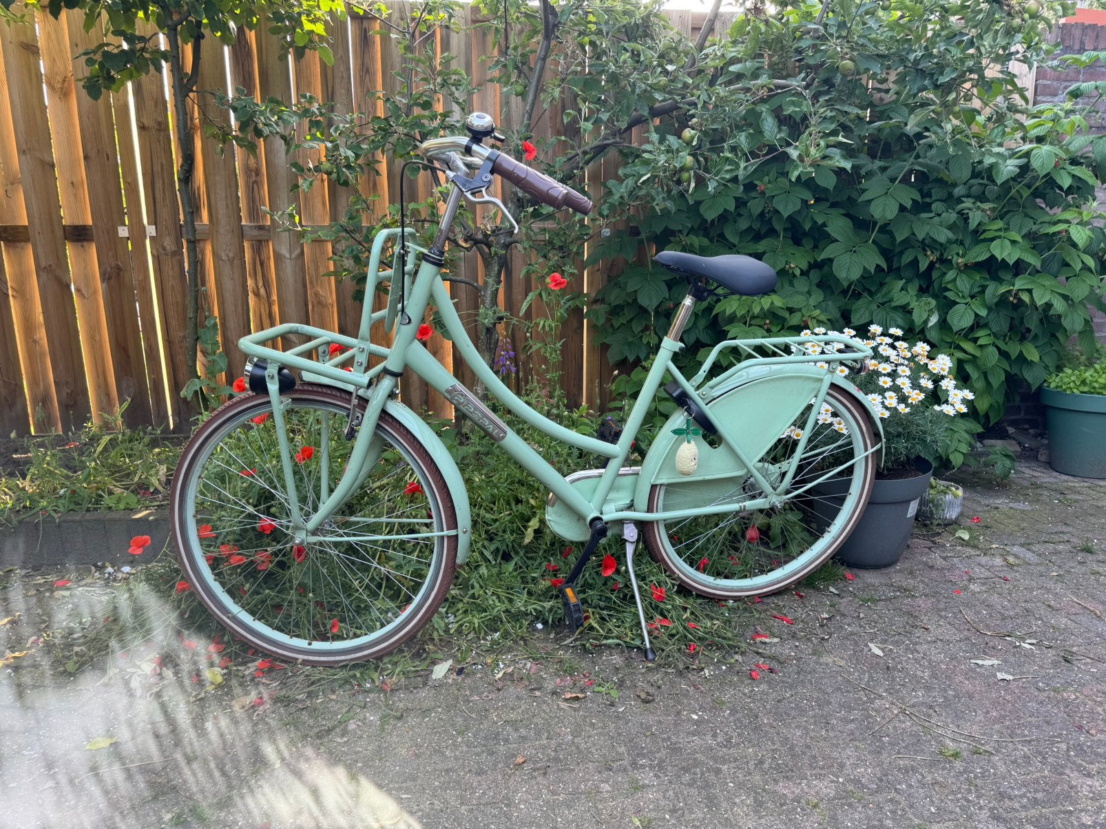 Fiets, popal, gebruikt, Ophalen, Gebruikt, 26 inch of meer