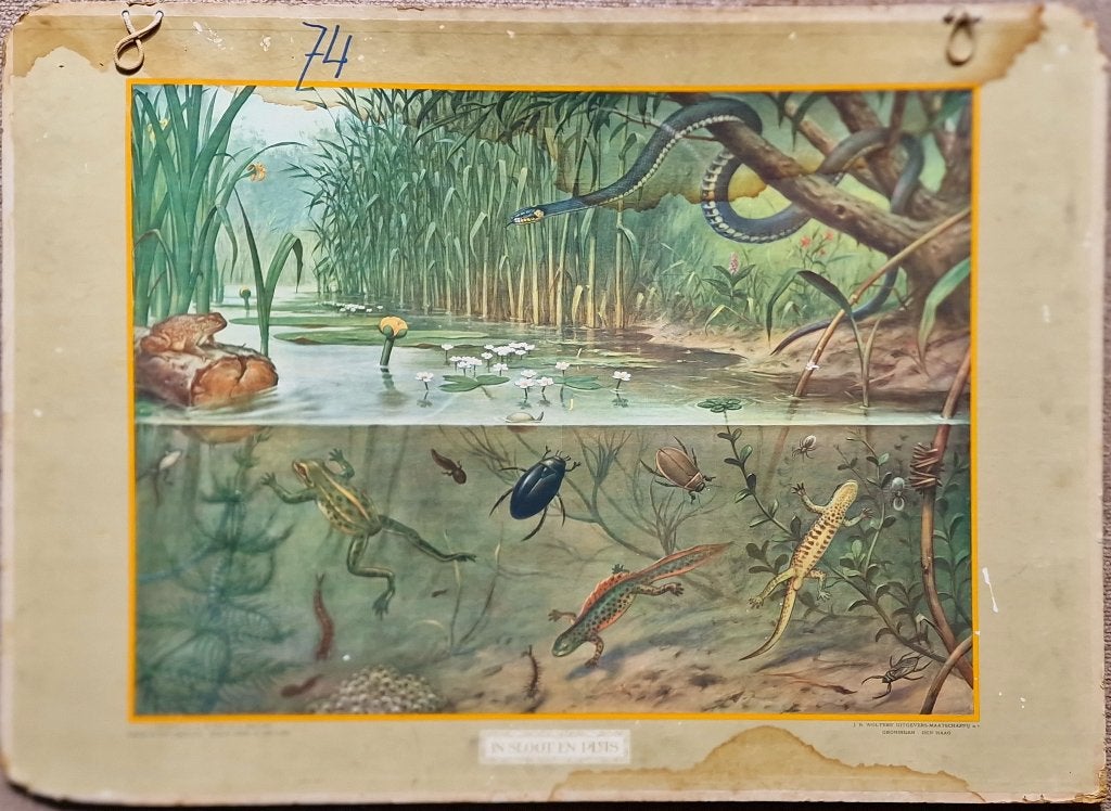 In sloot en plas / M.A. Koekkoek, Ophalen, Geschiedenis