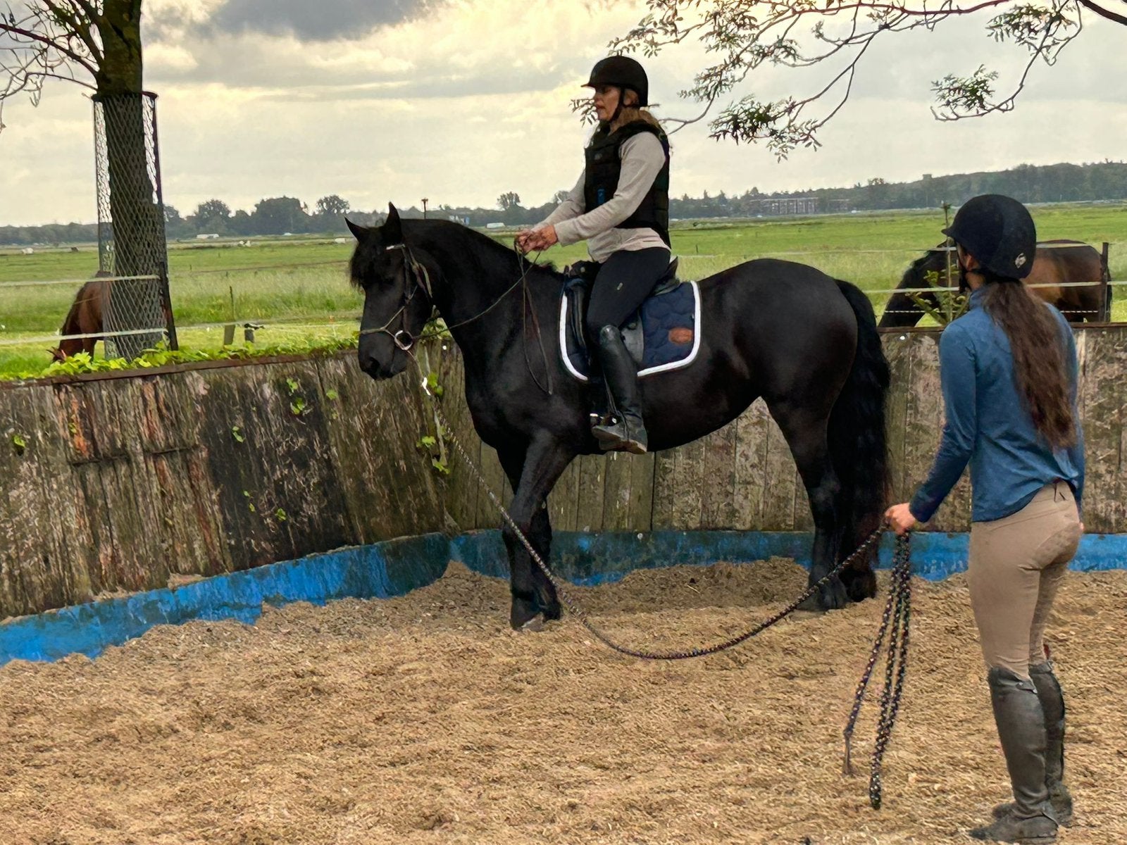 Bijrijder paard 155cm gezocht (Eemnes), Ophalen, Nieuw