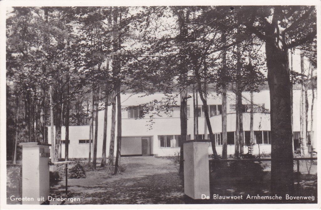 Driebergen. Ansichtkaart Groeten uit  - De Blauwvoet, Verzamelen, Ansichtkaarten | Nederland, Verzenden, 1960 tot 1980, Ongelopen