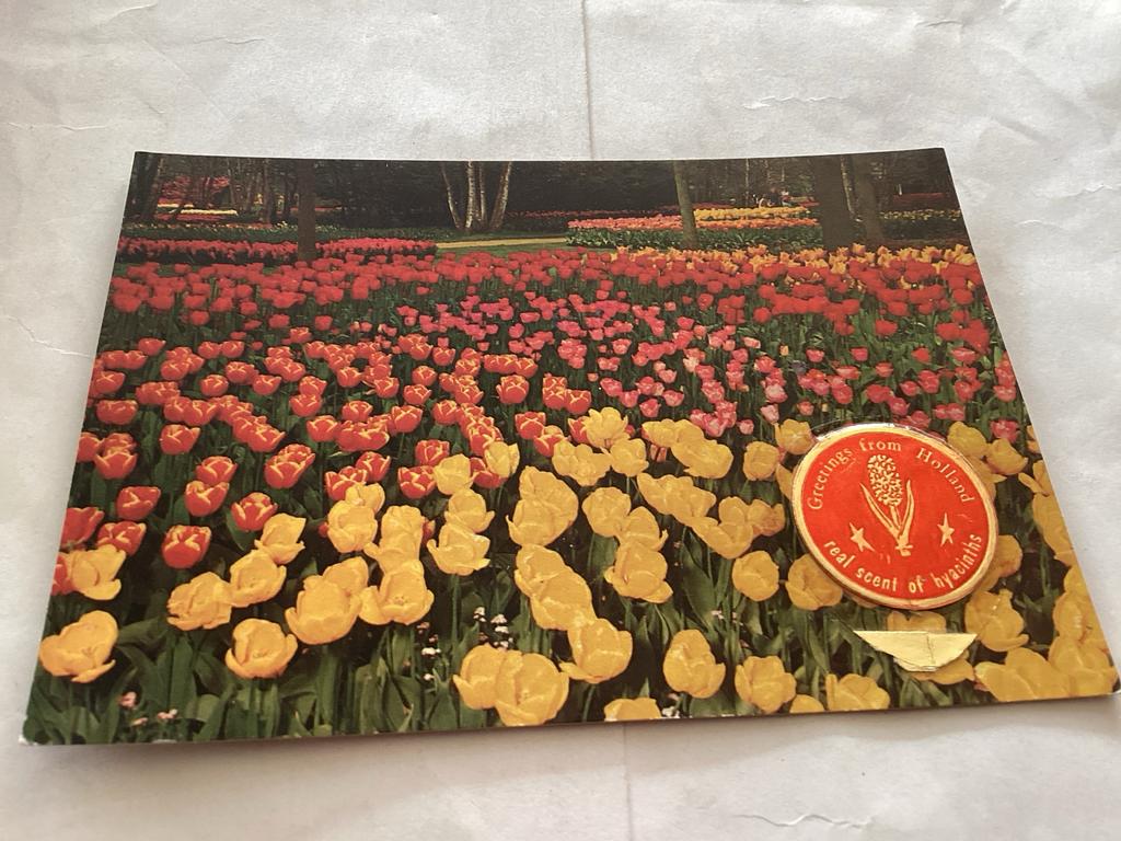 Vintage Geurkaart Tulpen Holland - Vita Nova Schiedam, Ophalen of Verzenden, 1960 tot 1980, Ongelopen