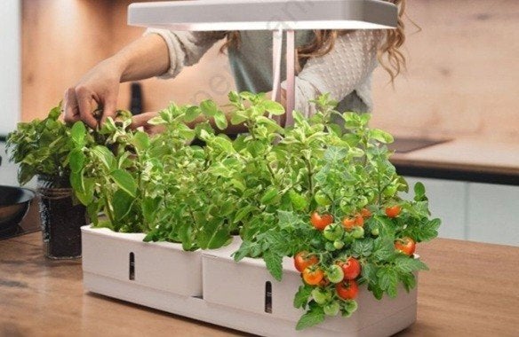 Ledvance Garden hydrocultuur, Ophalen, Zo goed als nieuw, Kweekbak