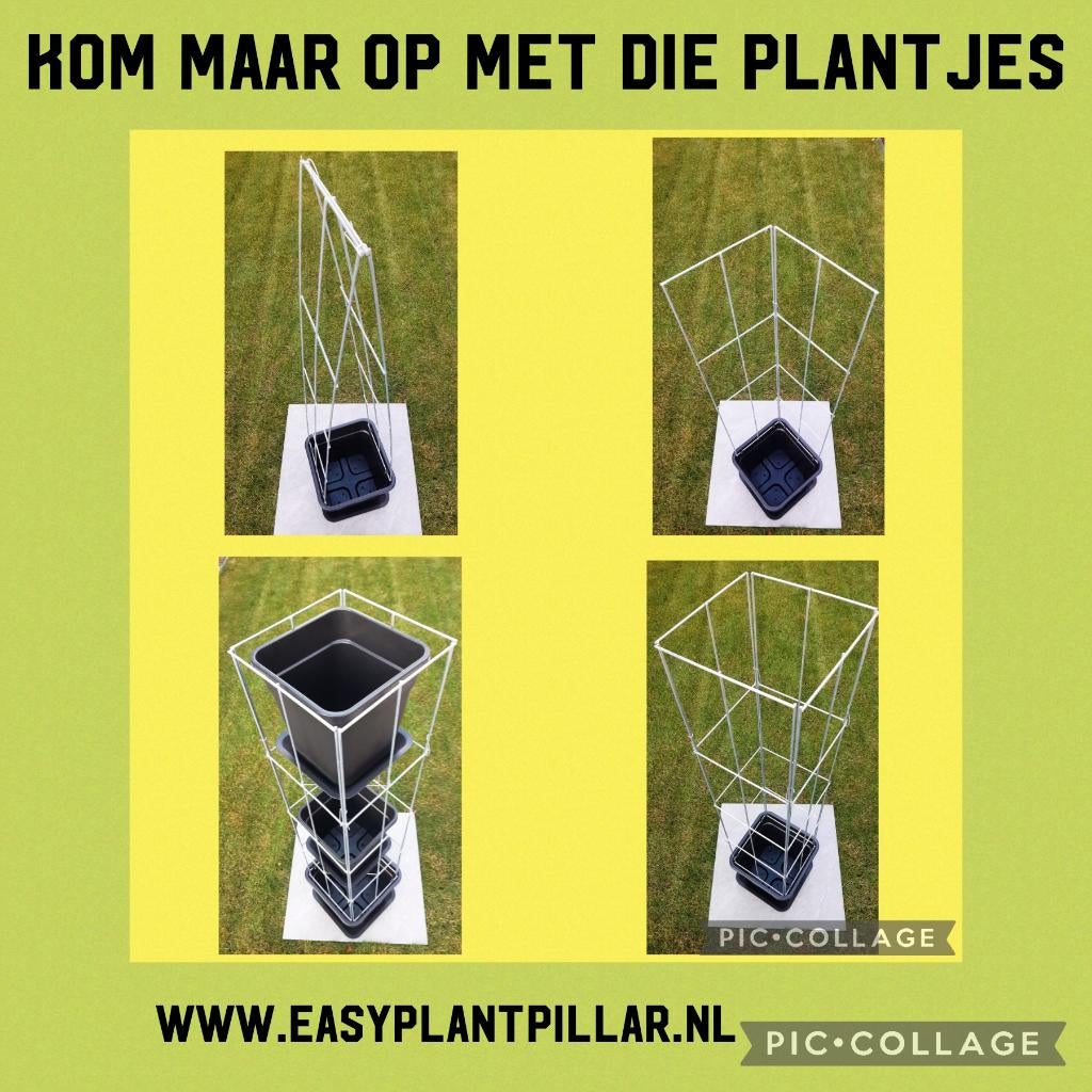 Draadzuilen draadrekken klimplantrekken plantenrek, Ophalen of Verzenden, Nieuw