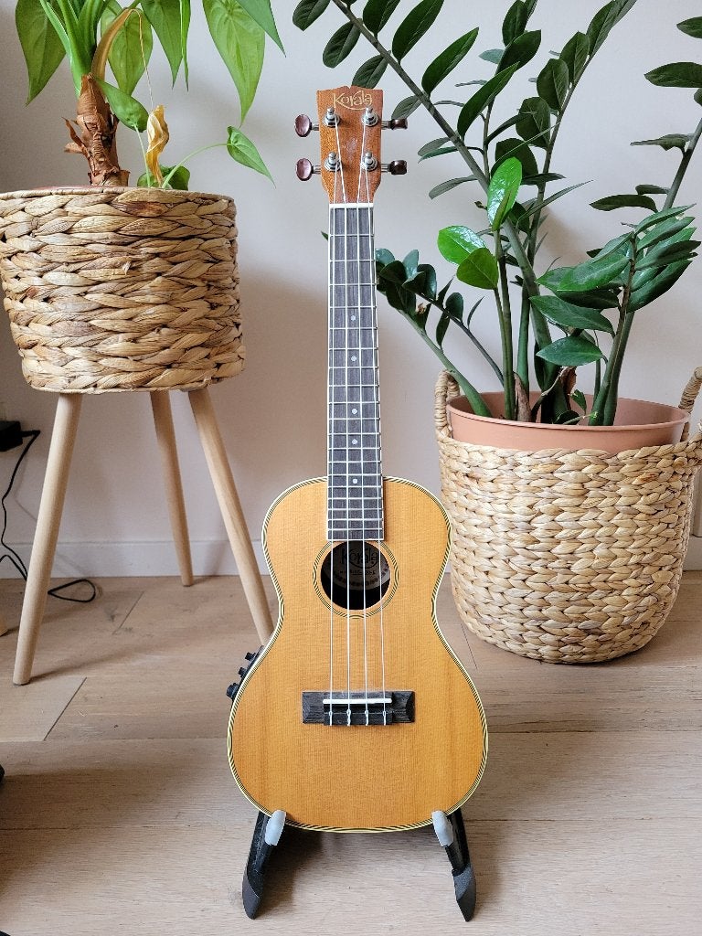 Ukulele and stand, Ophalen, Zo goed als nieuw, Overige instrumenten