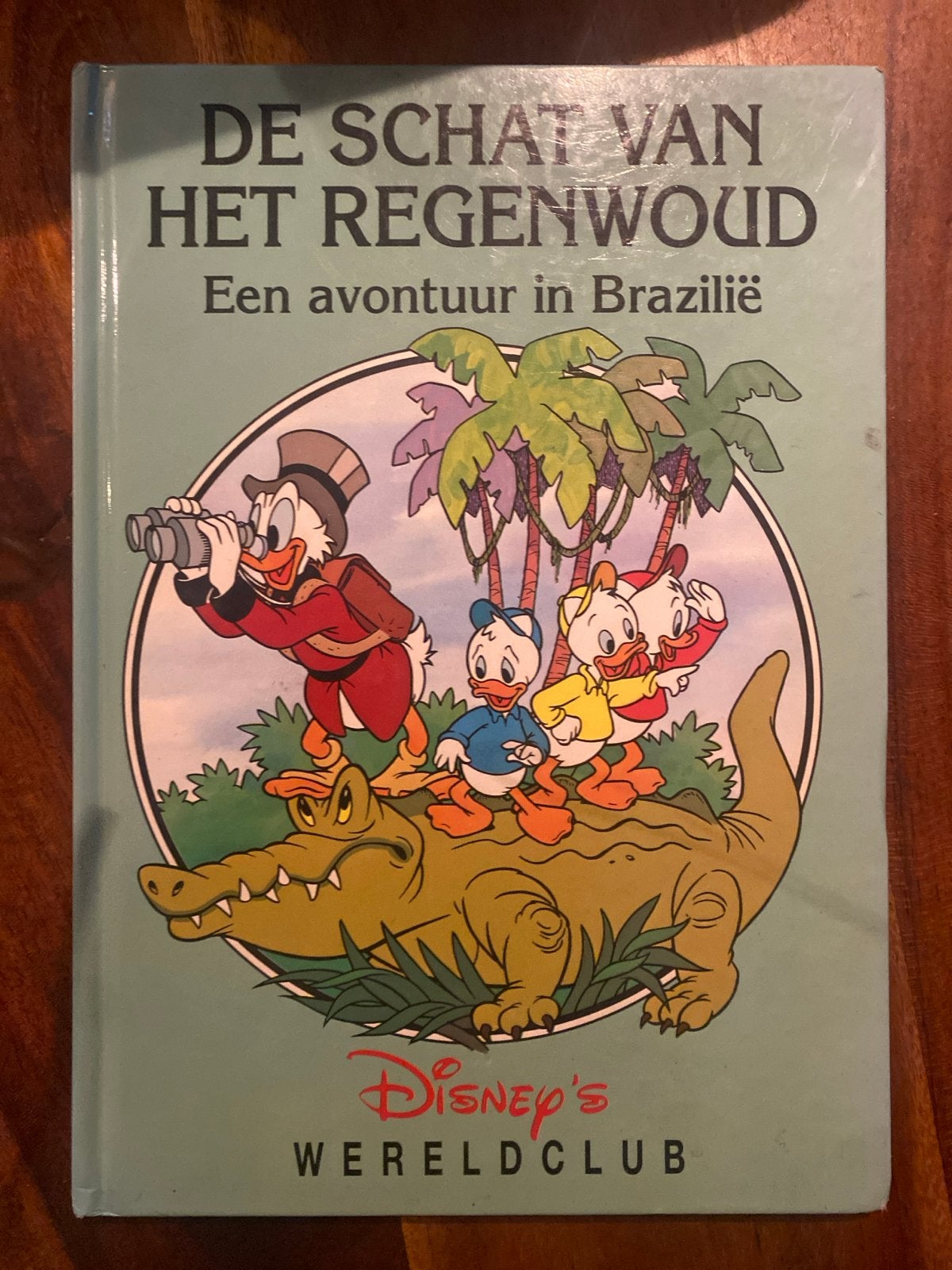 De Schat van het Regenwoud - Een avontuur in Brazilië, Boeken, Ophalen of Verzenden, Zo goed als nieuw, Sprookjes
