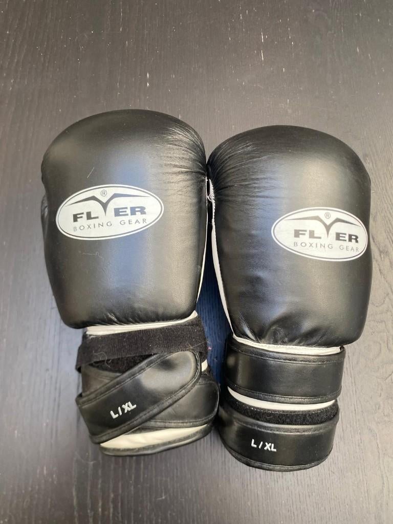 Bokshandschoenen – Boxing Gloves, Ophalen of Verzenden, Gebruikt, Bokshandschoenen