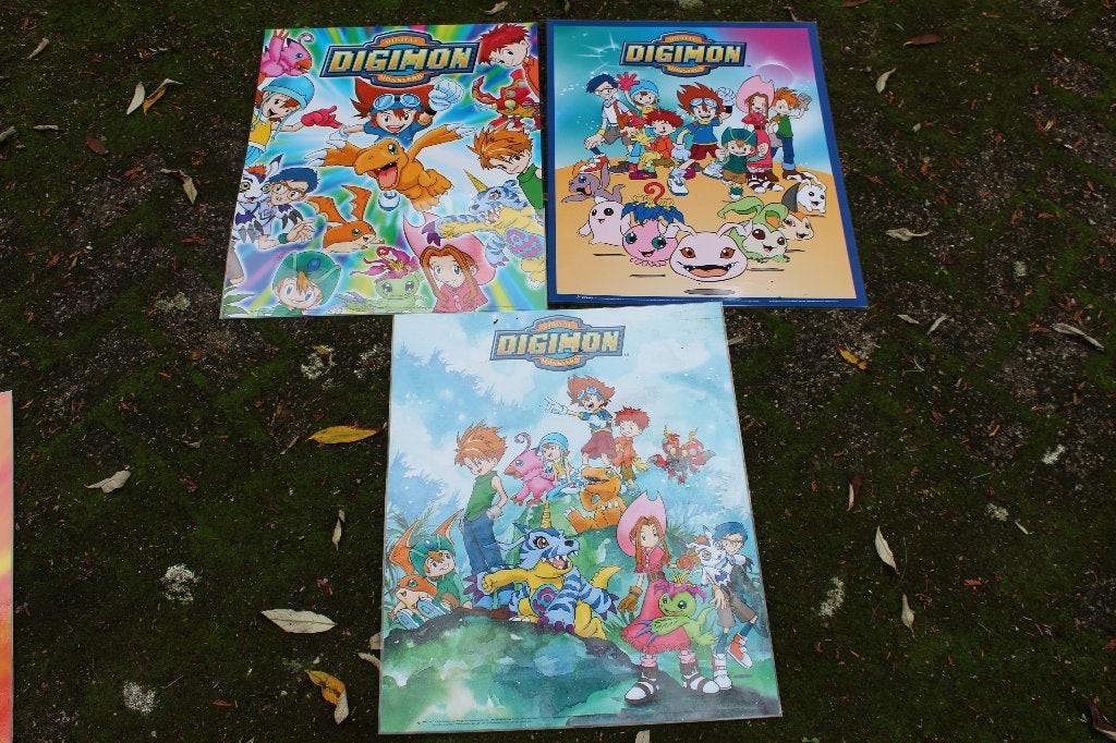 Grote geplastificeerde Pokemon & Digimon posters (40x50cm), Verzamelen, Posters, Ophalen, A1 t/m A3, Film en Tv, Rechthoekig Staand